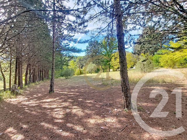 maison à vendre - 6 pièces - 174.0 m2 - LORGUES - 83 - PROVENCE-ALPES-COTE-D-AZUR - Century 21 Haussmann Immobilier