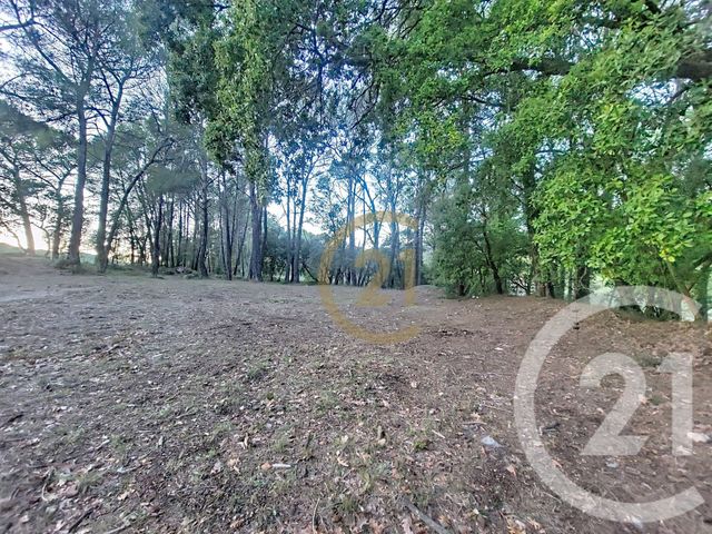 terrain à vendre - 7000.0 m2 - CALLAS - 83 - PROVENCE-ALPES-COTE-D-AZUR - Century 21 Haussmann Immobilier