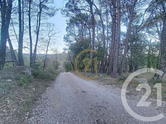 terrain à vendre - 7000.0 m2 - CALLAS - 83 - PROVENCE-ALPES-COTE-D-AZUR - Century 21 Haussmann Immobilier