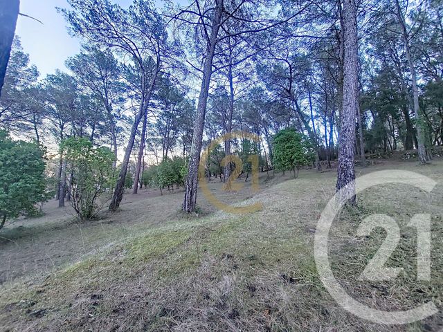 terrain à vendre - 7000.0 m2 - CALLAS - 83 - PROVENCE-ALPES-COTE-D-AZUR - Century 21 Haussmann Immobilier