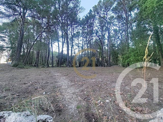 terrain - CALLAS - 83