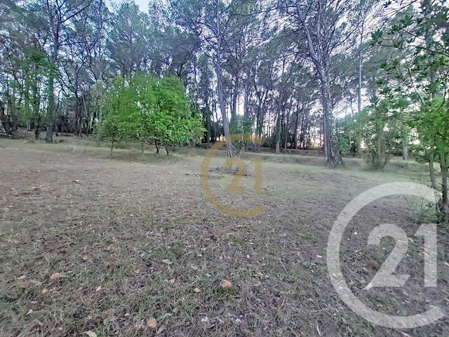 terrain à vendre - 7000.0 m2 - CALLAS - 83 - PROVENCE-ALPES-COTE-D-AZUR - Century 21 Haussmann Immobilier