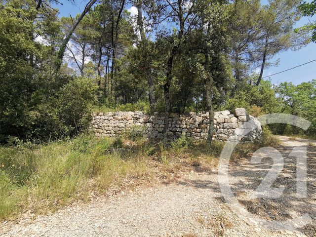 terrain à vendre - 9071.0 m2 - CALLAS - 83 - PROVENCE-ALPES-COTE-D-AZUR - Century 21 Haussmann Immobilier