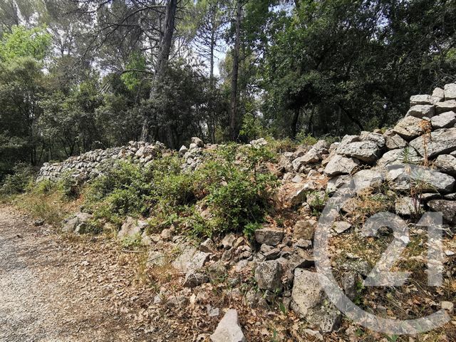 terrain à vendre - 9071.0 m2 - CALLAS - 83 - PROVENCE-ALPES-COTE-D-AZUR - Century 21 Haussmann Immobilier