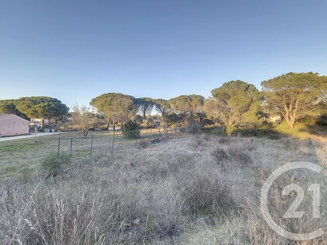 terrain à vendre - 1194.0 m2 - LE CANNET DES MAURES - 83 - PROVENCE-ALPES-COTE-D-AZUR - Century 21 Haussmann Immobilier