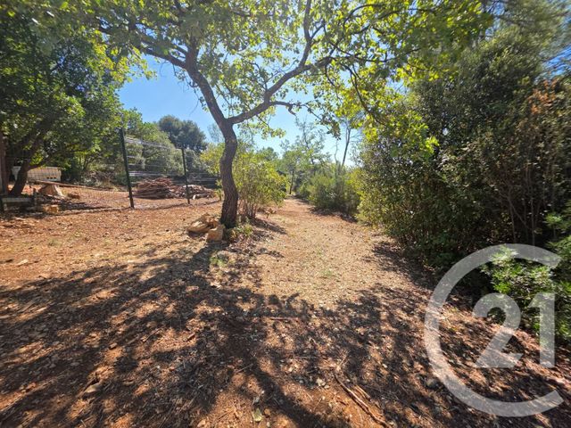 terrain à vendre - 1650.0 m2 - LORGUES - 83 - PROVENCE-ALPES-COTE-D-AZUR - Century 21 Haussmann Immobilier