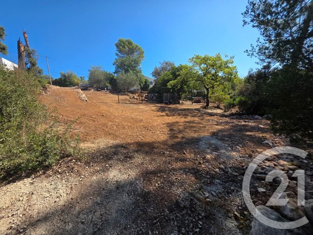 terrain à vendre - 1650.0 m2 - LORGUES - 83 - PROVENCE-ALPES-COTE-D-AZUR - Century 21 Haussmann Immobilier