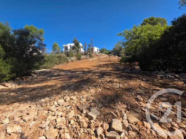 terrain à vendre - 1650.0 m2 - LORGUES - 83 - PROVENCE-ALPES-COTE-D-AZUR - Century 21 Haussmann Immobilier