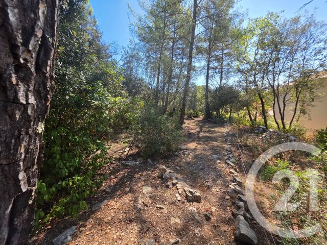 terrain à vendre - 1650.0 m2 - LORGUES - 83 - PROVENCE-ALPES-COTE-D-AZUR - Century 21 Haussmann Immobilier